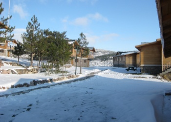 CAMLIDERE DAG EVLERI  (5)